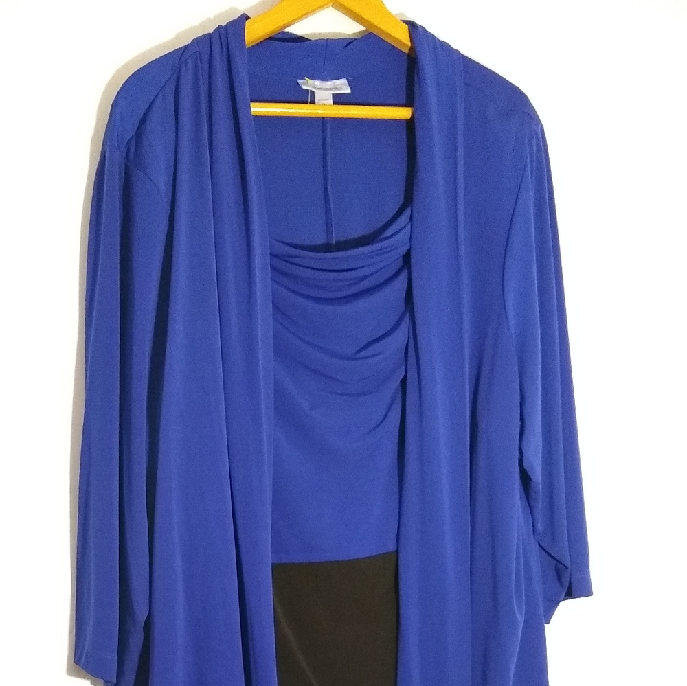 Dress Barn Silky Color Block Dress